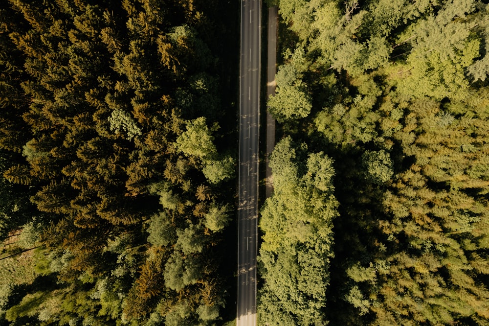 an aerial view of a road surrounded by trees