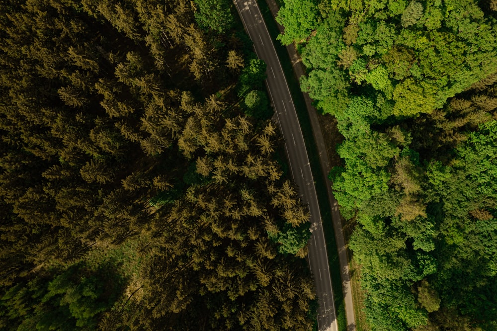 an aerial view of a road surrounded by trees