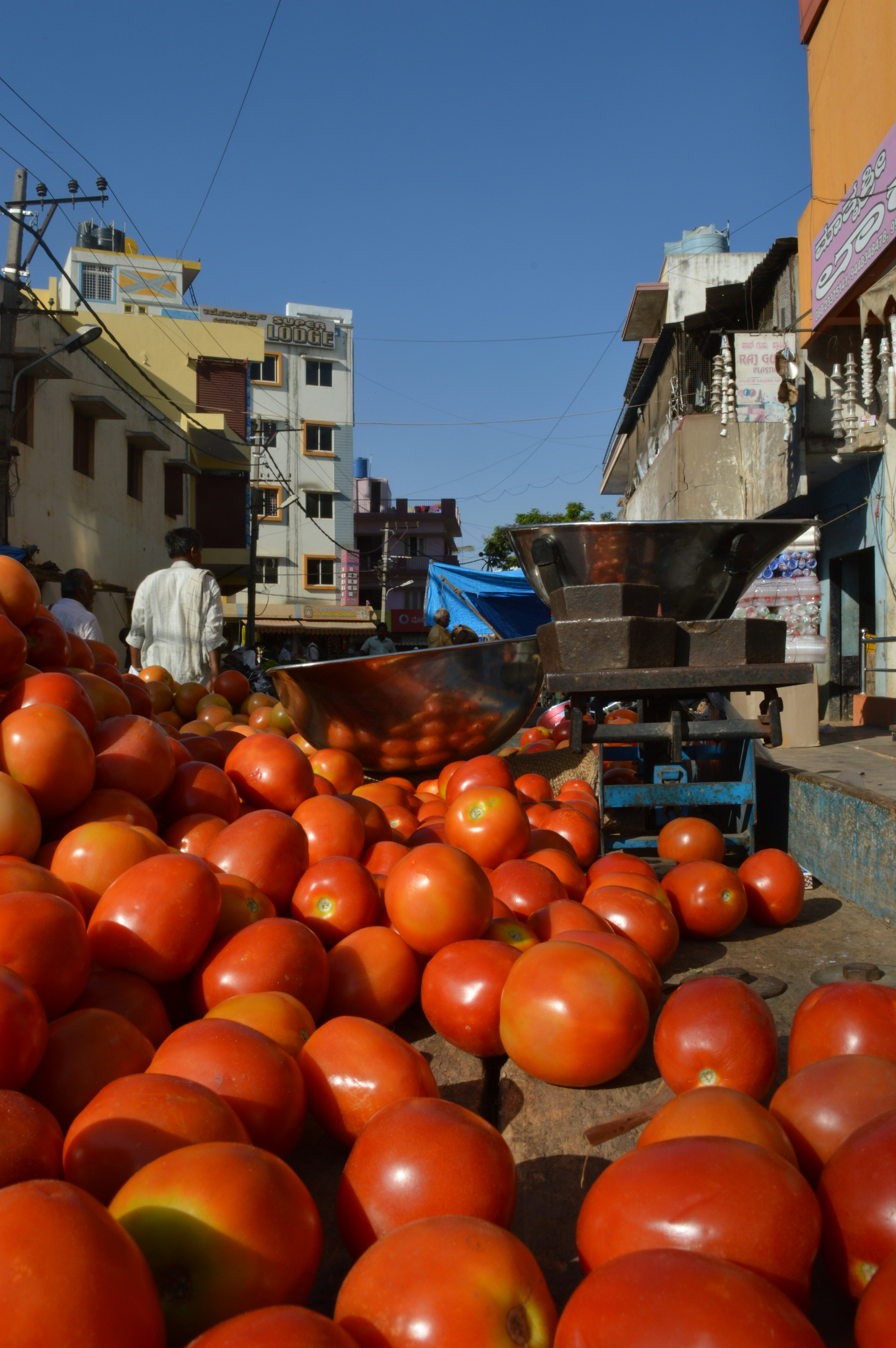 a pile of tomatoes sitting on the side of a road