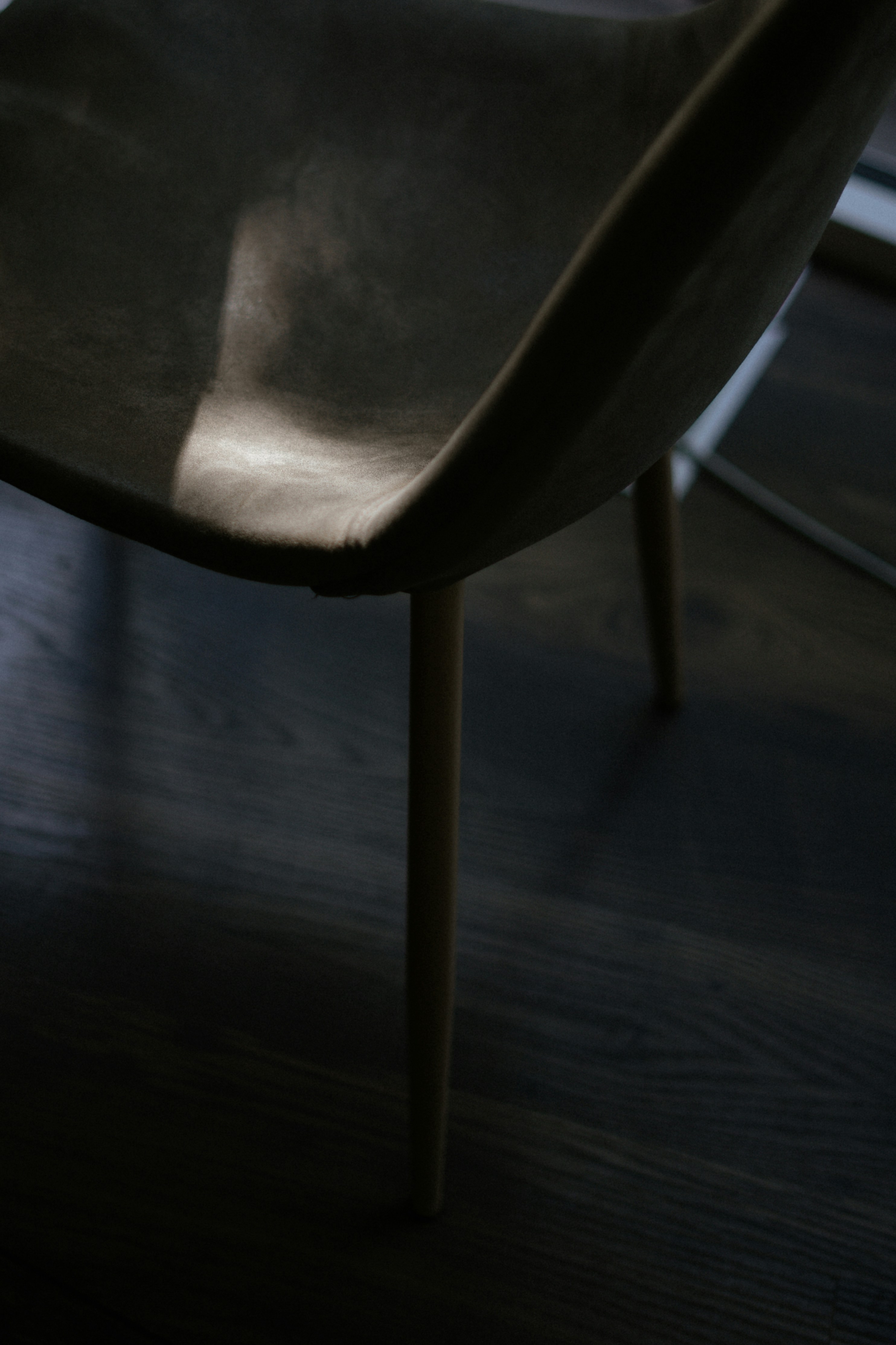 Photo by albina___white