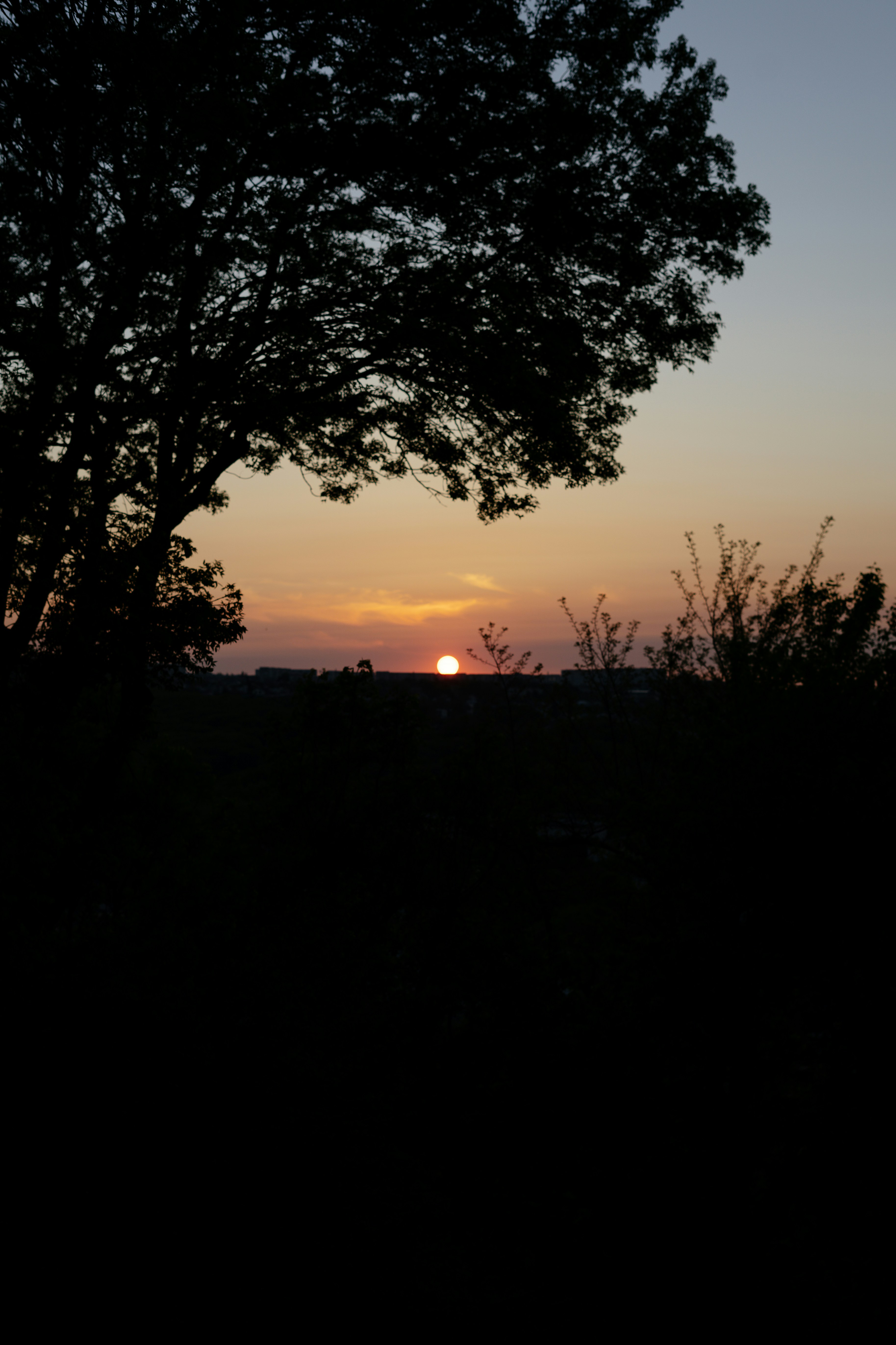 Photo by albina___white