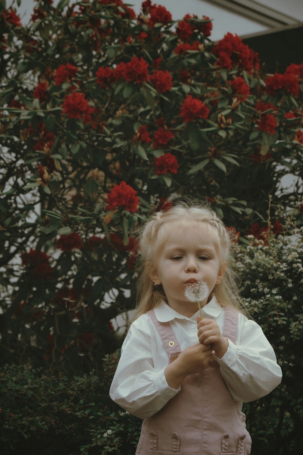 a little girl standing in front of a bush with flowers