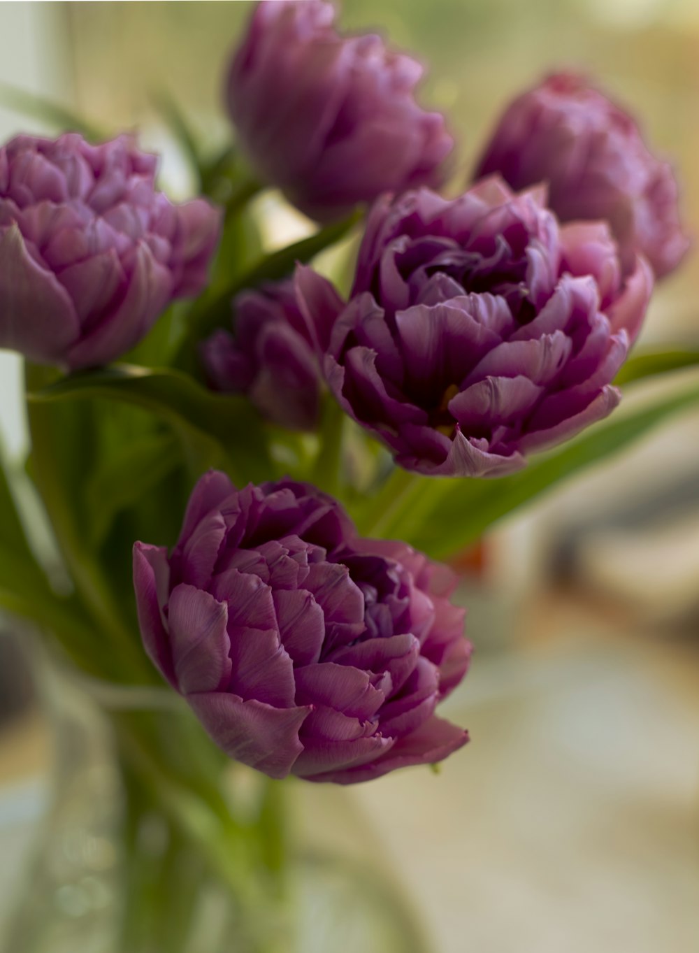 a vase filled with purple flowers on top of a table