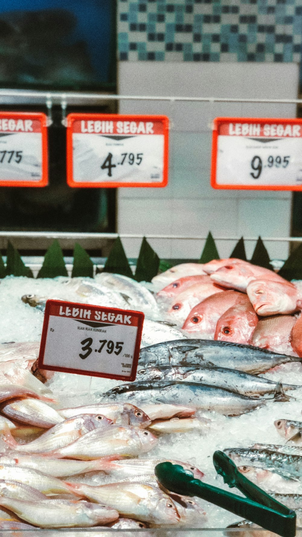 a bunch of fish that are on a table