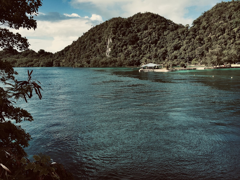 a body of water surrounded by mountains and trees