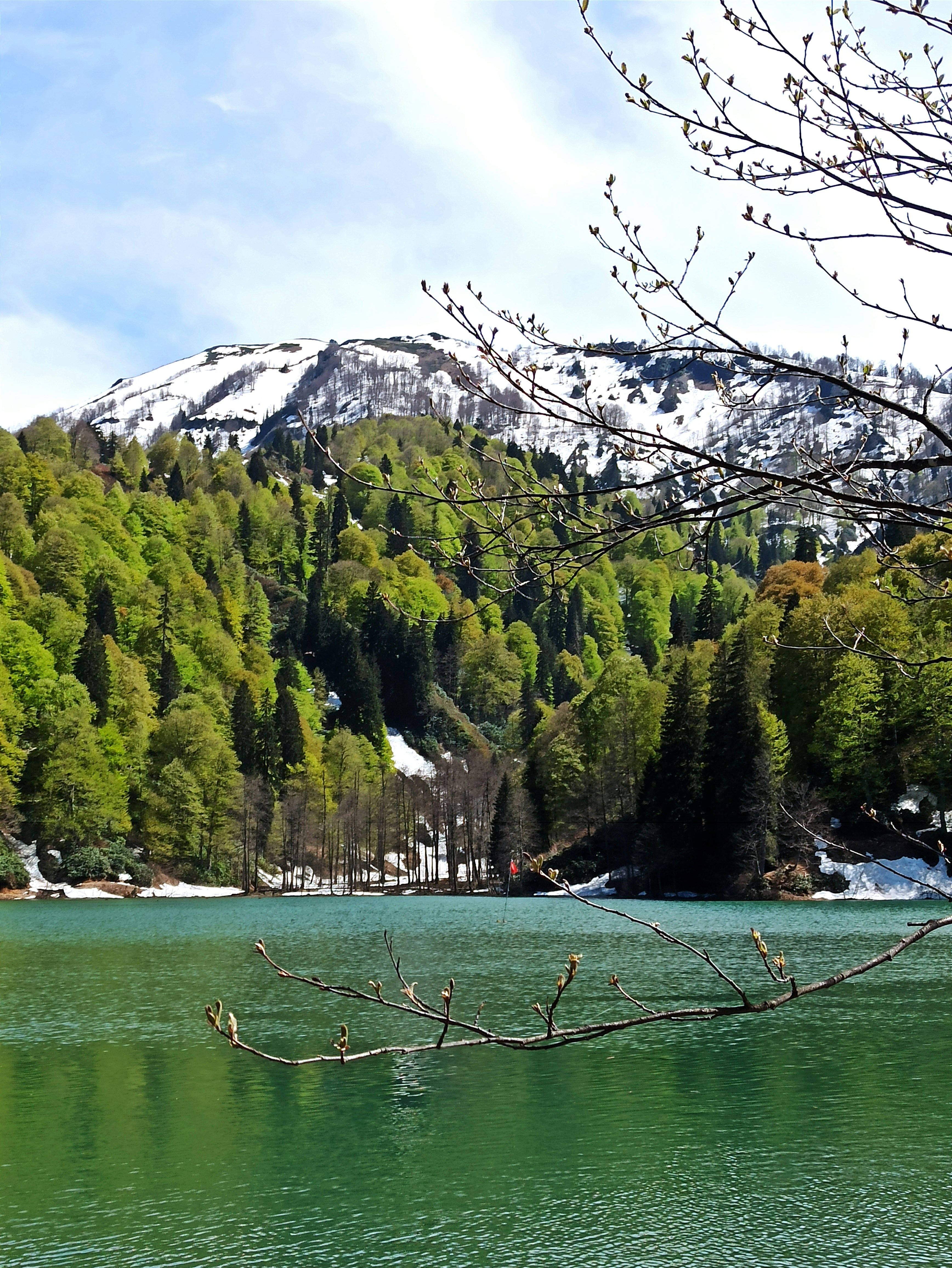 Photo by anestezicik