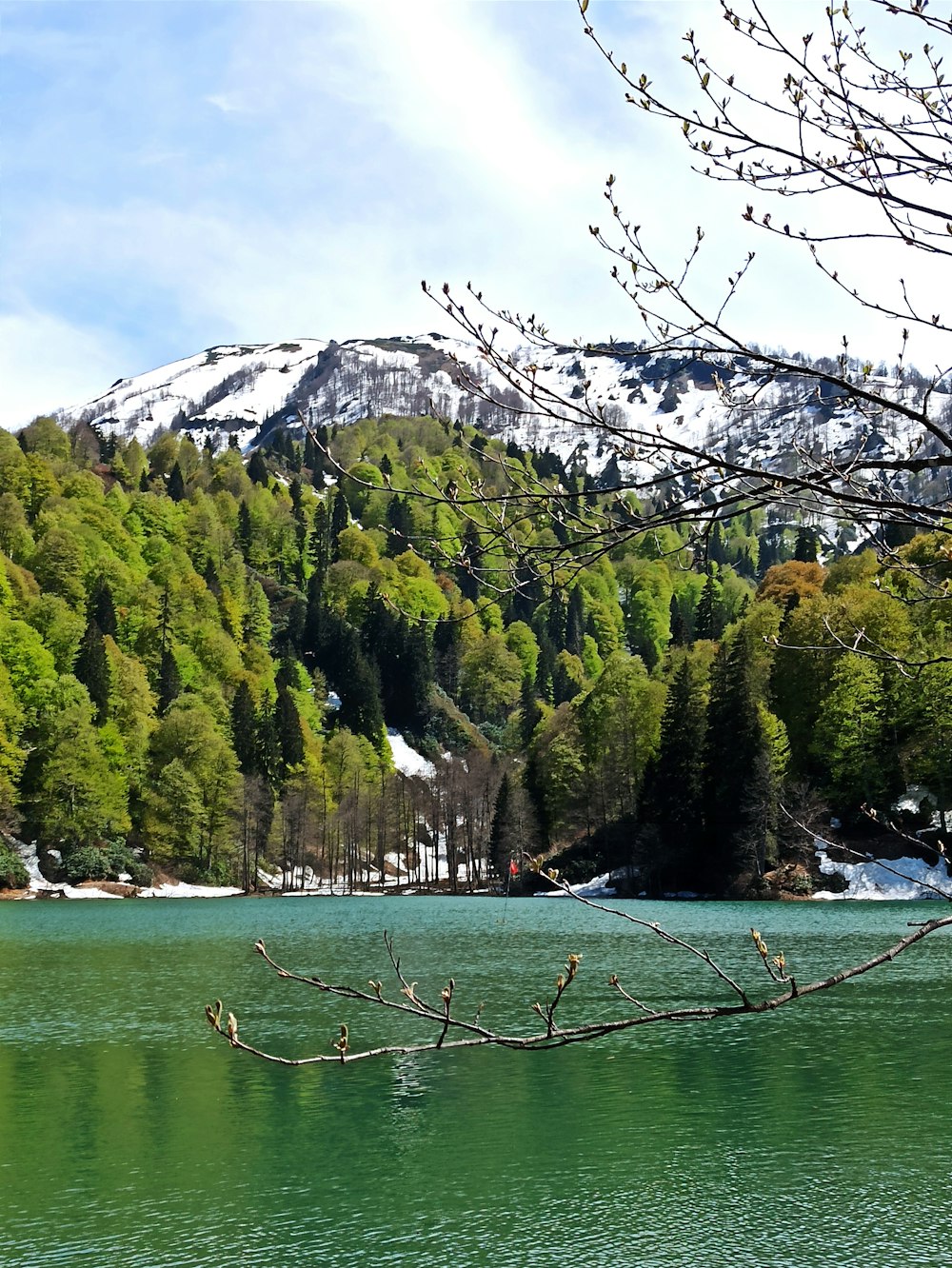 a body of water surrounded by trees and mountains