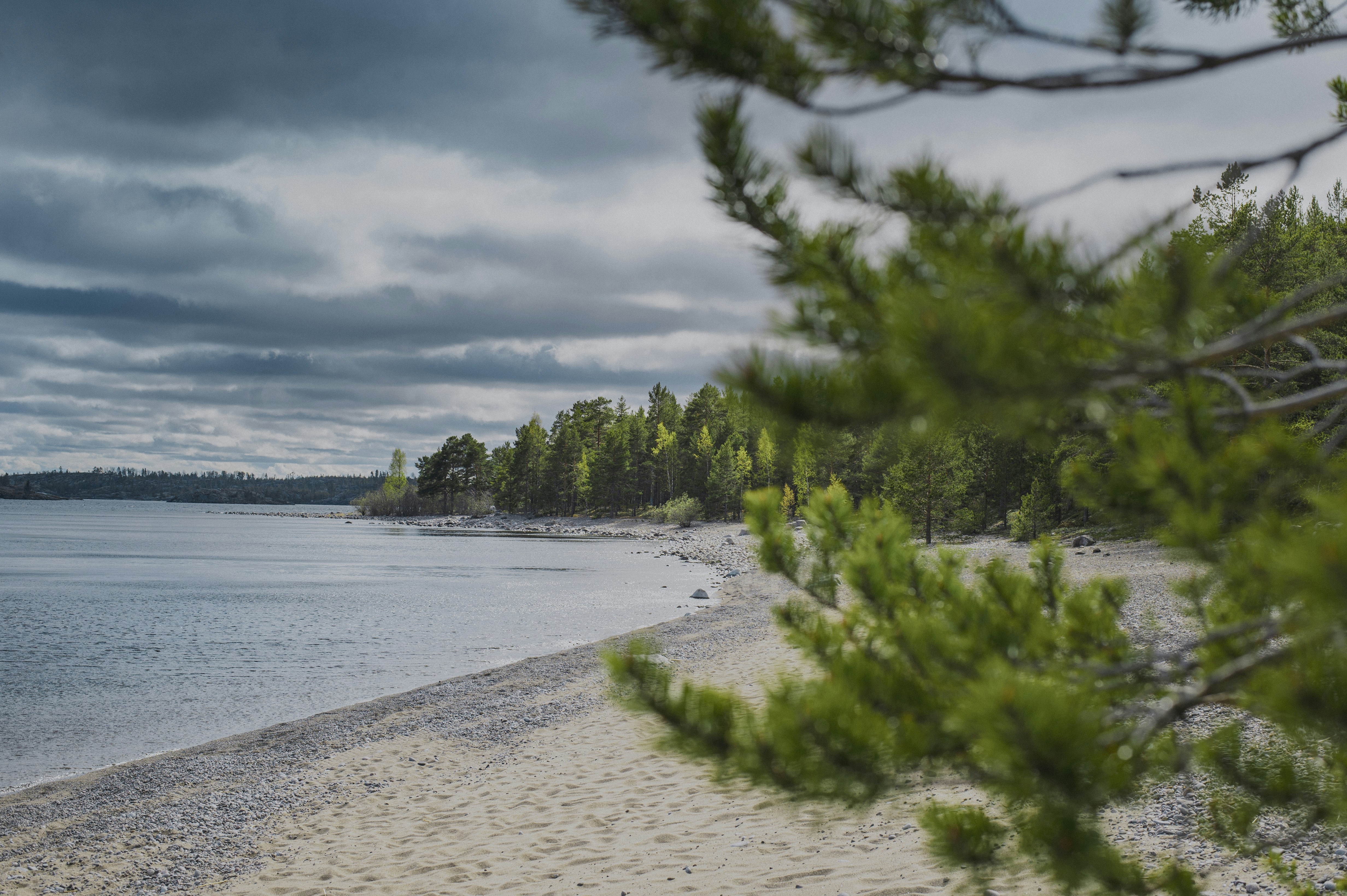 Photo by vonshnauzer