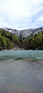 A serene nature scene with a tranquil lake and mountains in the background.