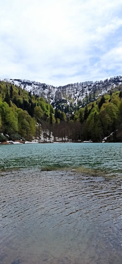 A serene mountain scene with lush greenery and a tranquil lake.