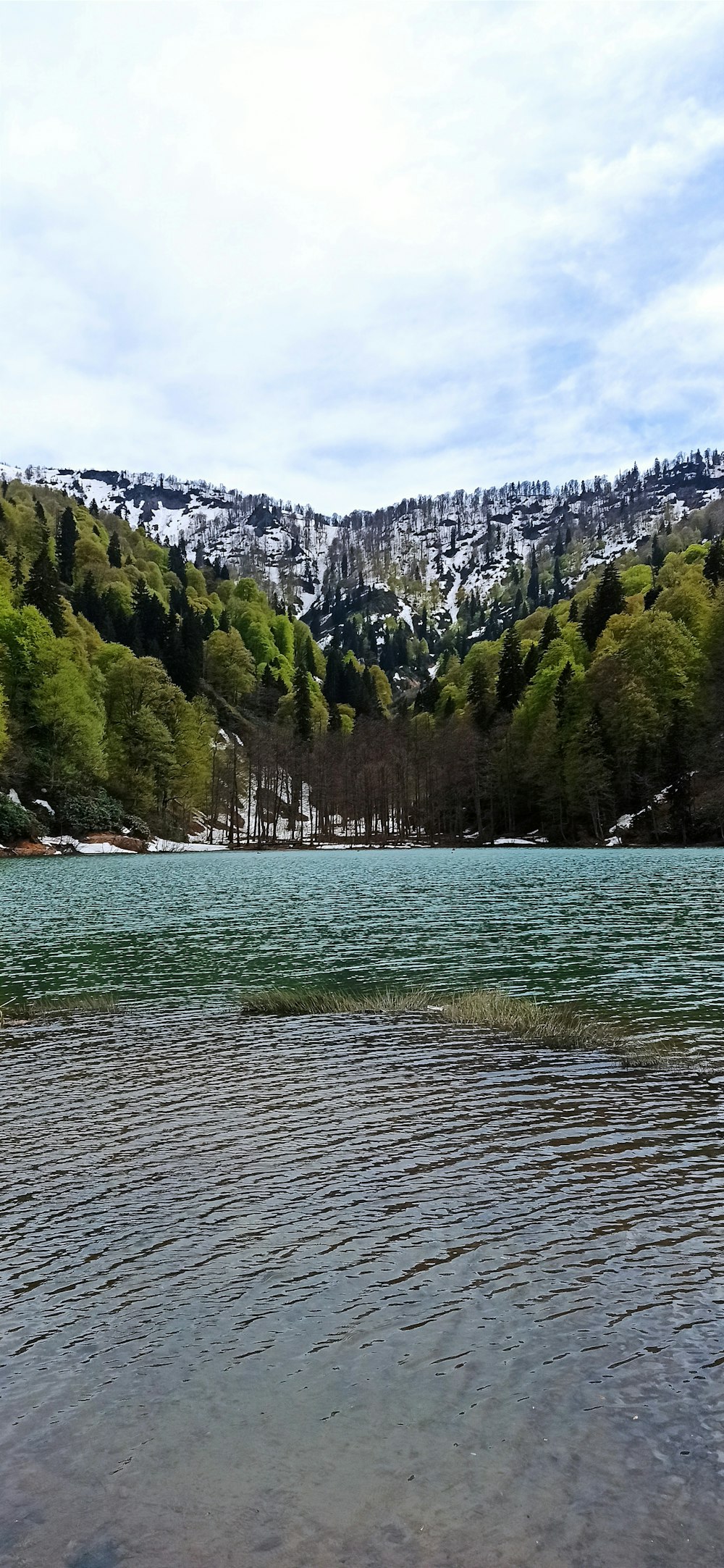 a large body of water surrounded by trees