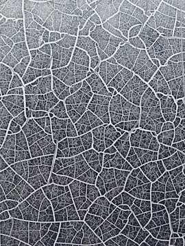 An intricate network of white lines forming irregular, interconnected shapes on a dark background, resembling cracked or dried earth.