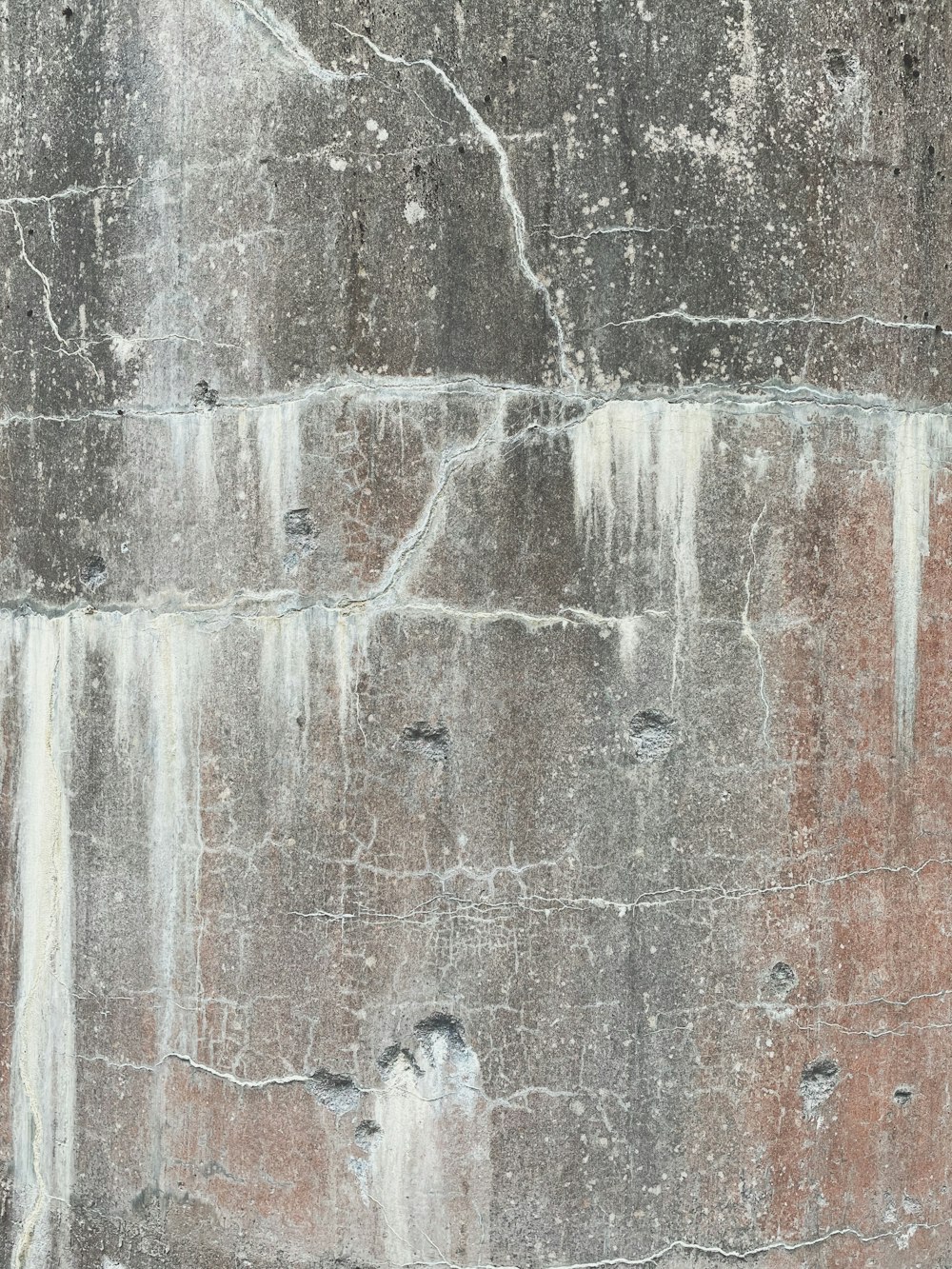 a bird is perched on the ledge of a building