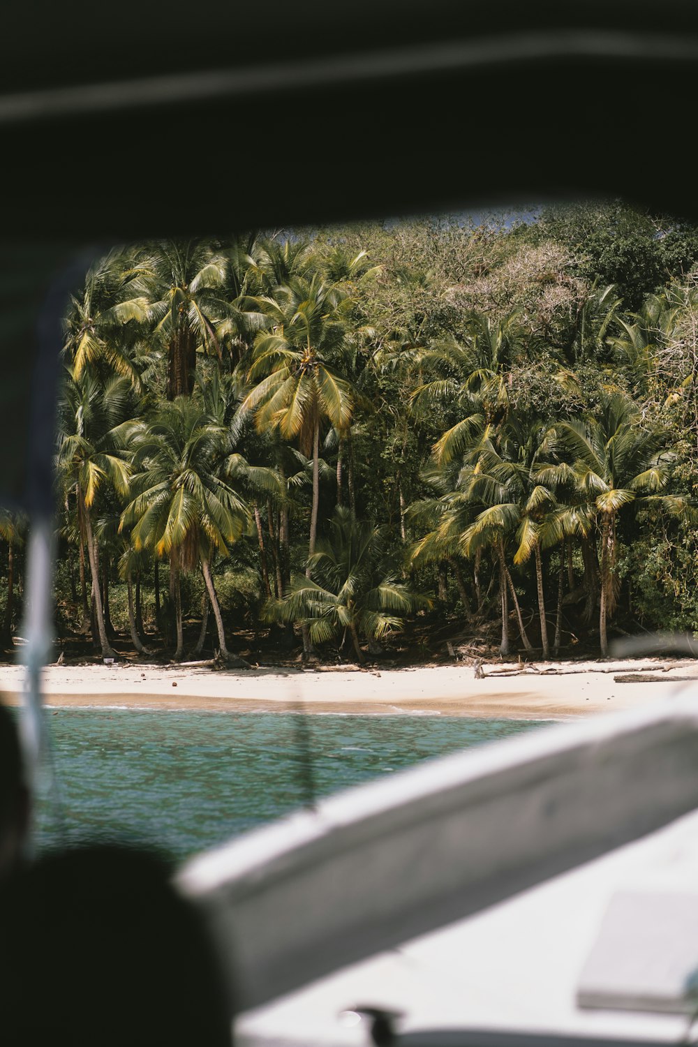 a view from a boat of a beach and palm trees