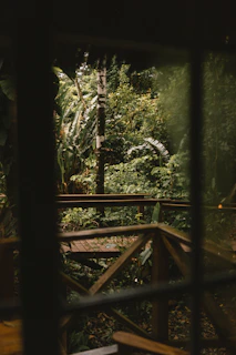 a wooden bridge in the middle of a forest