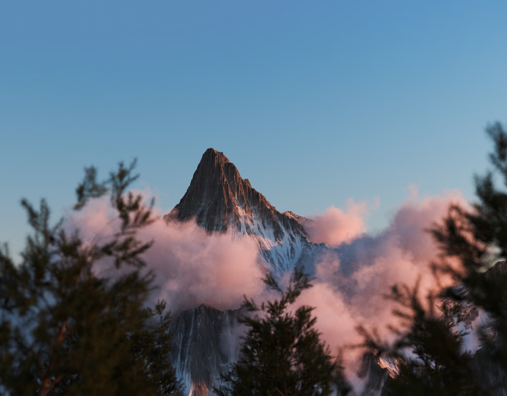 a view of a mountain through the trees