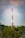 A tall communication tower with red and white sections stands prominently against a backdrop of clouds and a vast blue sky. The structure is surrounded by lush green trees, suggesting a remote or natural setting.
