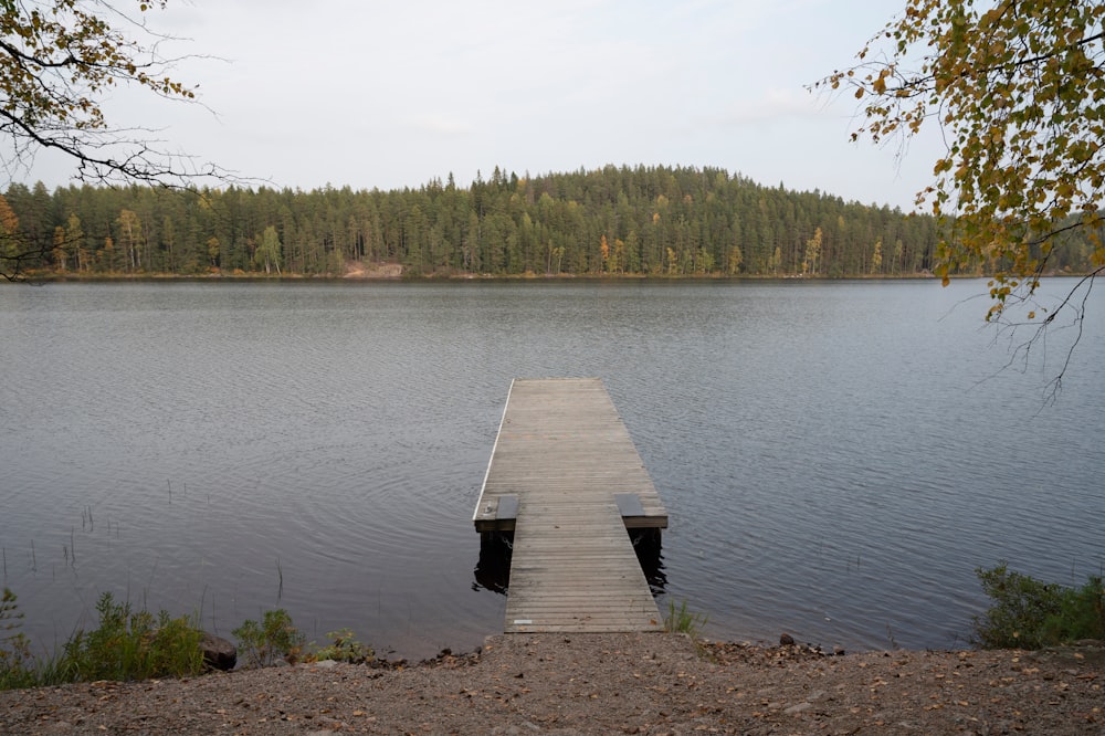 a wooden dock sitting on top of a lake next to a forest