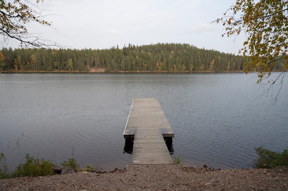 un quai en bois posé au sommet d’un lac à côté d’une forêt