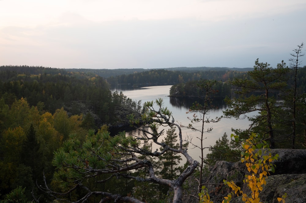 a view of a lake surrounded by trees