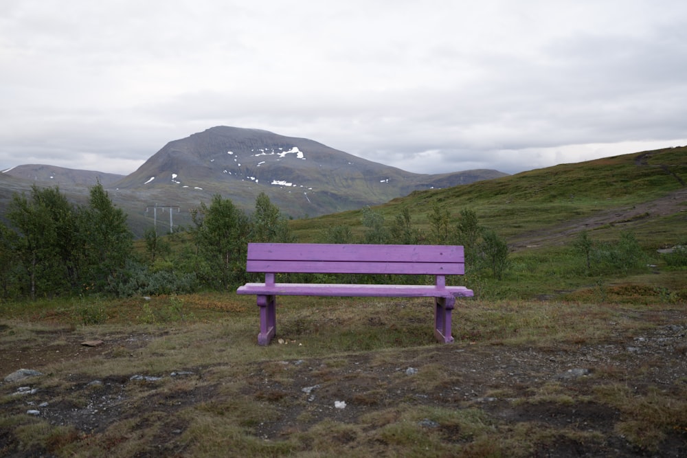 a purple bench sitting on top of a lush green hillside