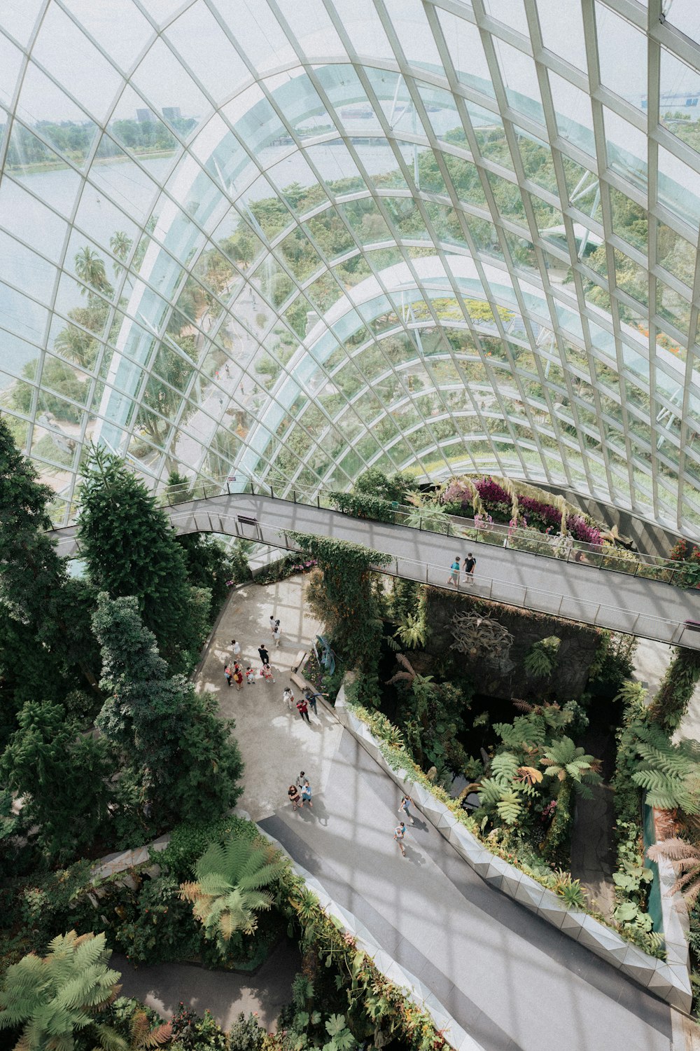 an overhead view of a walkway in a tropical garden