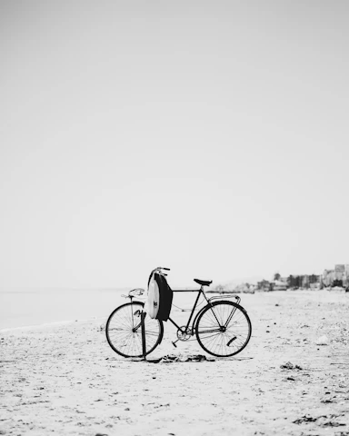 Vintage bicycle resting beside sand dunes on a golden Adriatic shoreline.