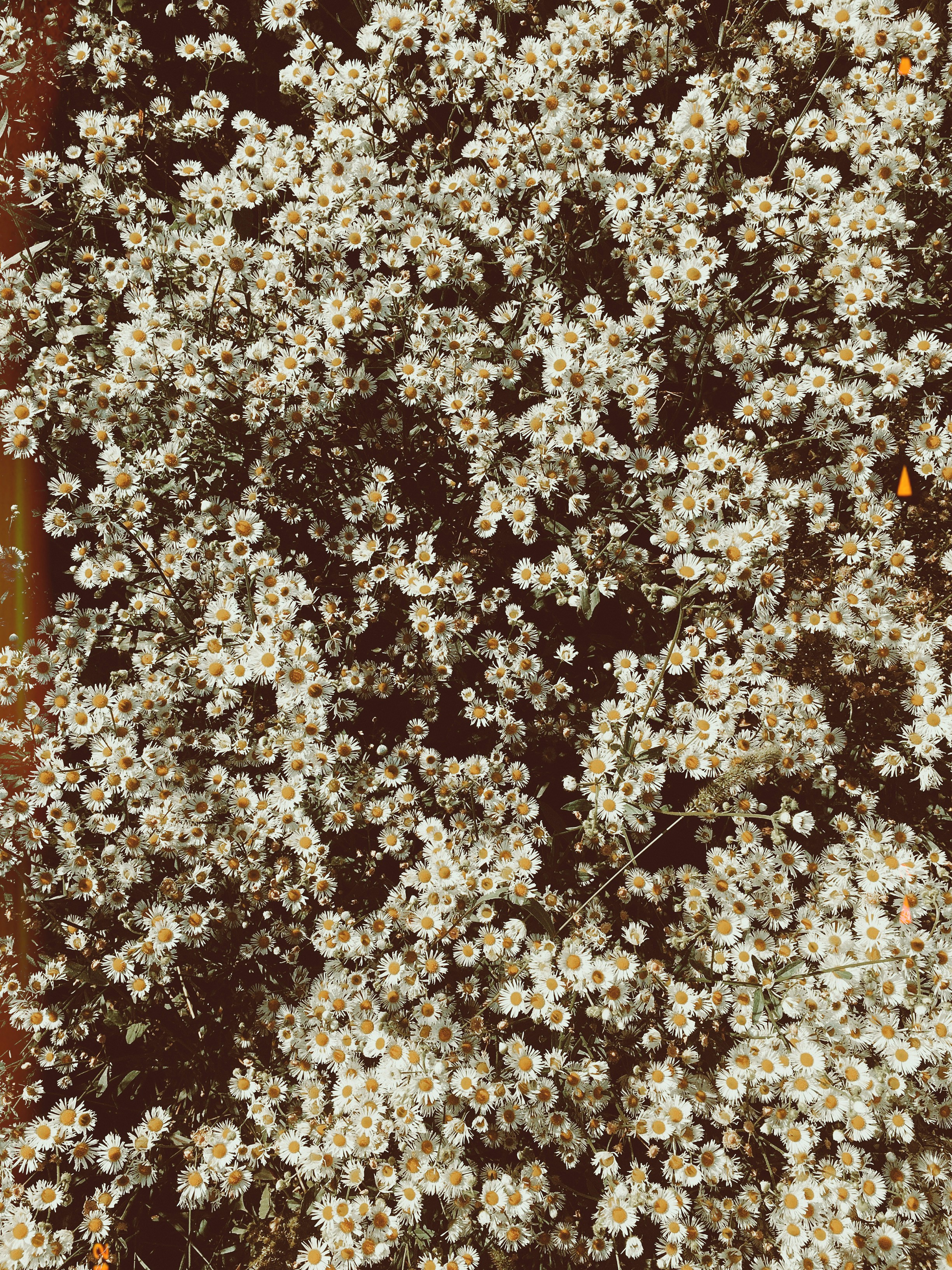 Photo by benjamindem