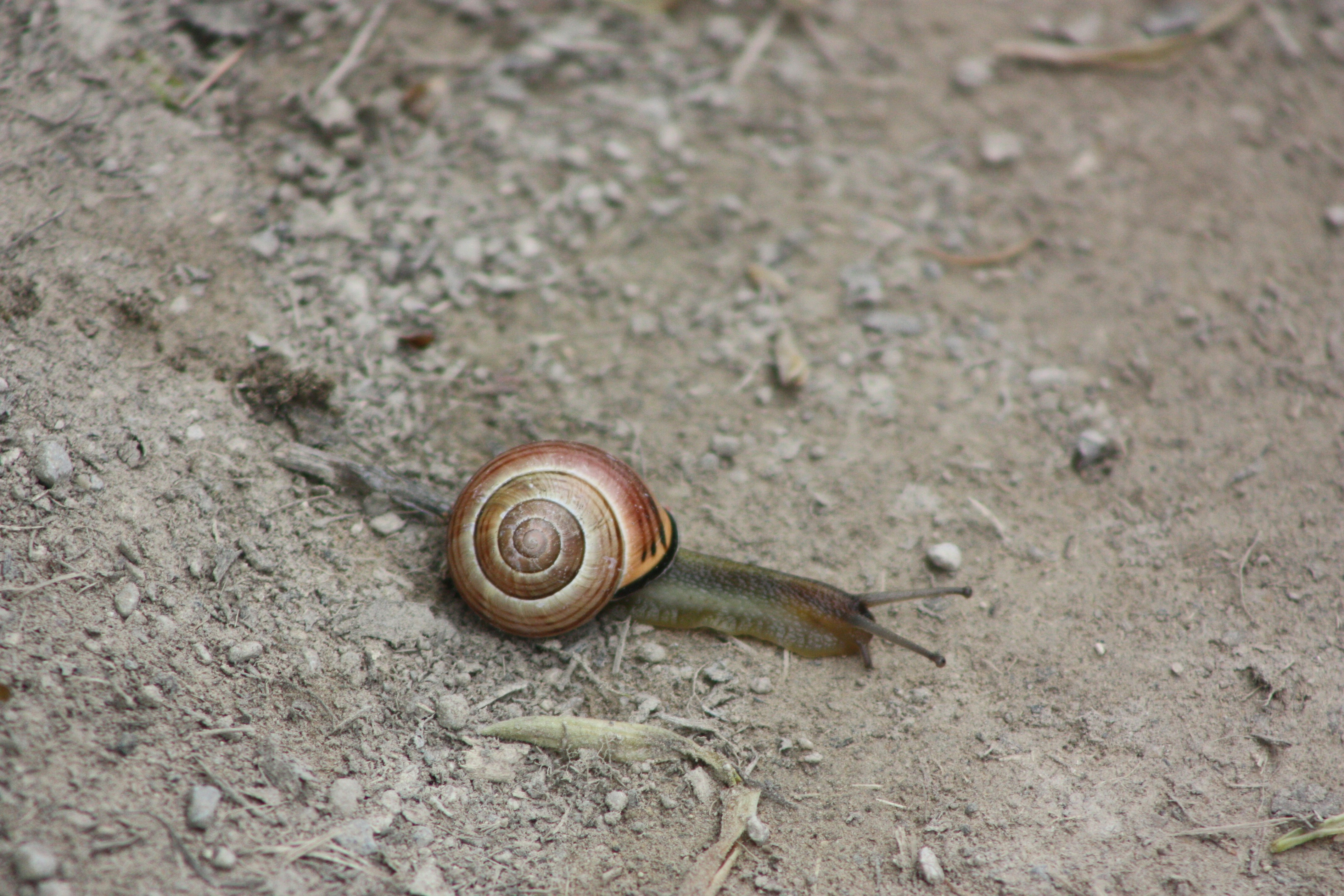 Photo by f_p_photography0