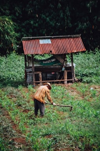 a man is working in a field with a hoe