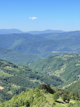 a scenic view of a valley with mountains in the background