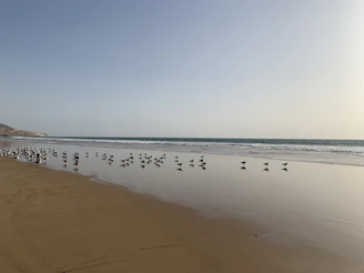 Playa de El Duque