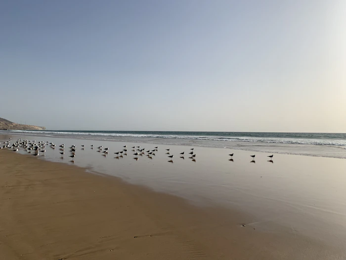 Beaches For Kids