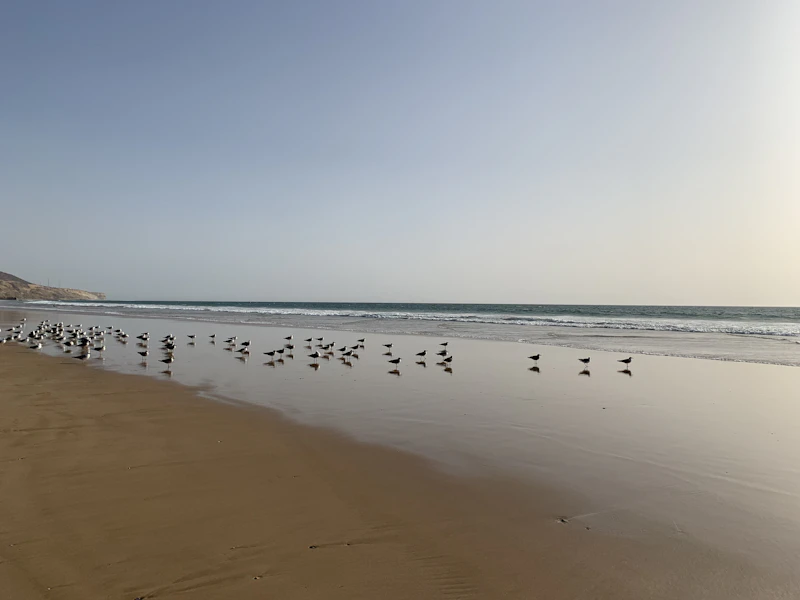 Best Beaches for Kids Near Agadir: Safe, Shallow, and Worth the Drive