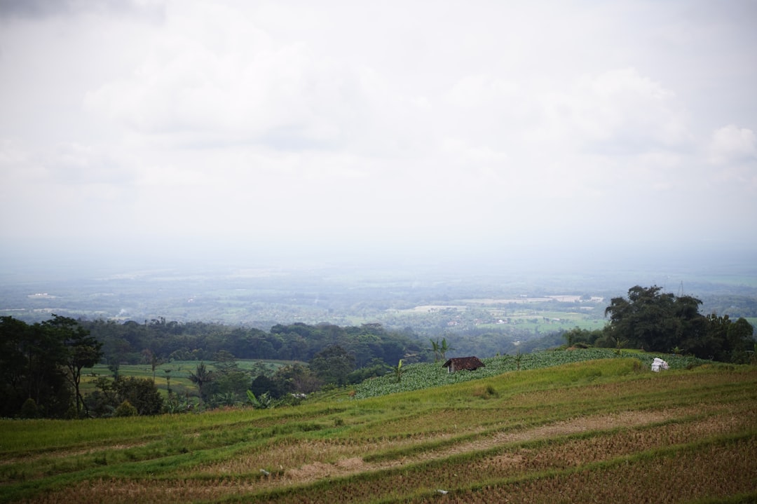 Ecoregion photo spot Ngawi Central Java
