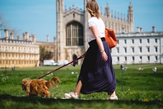 a woman walking a dog in a park
