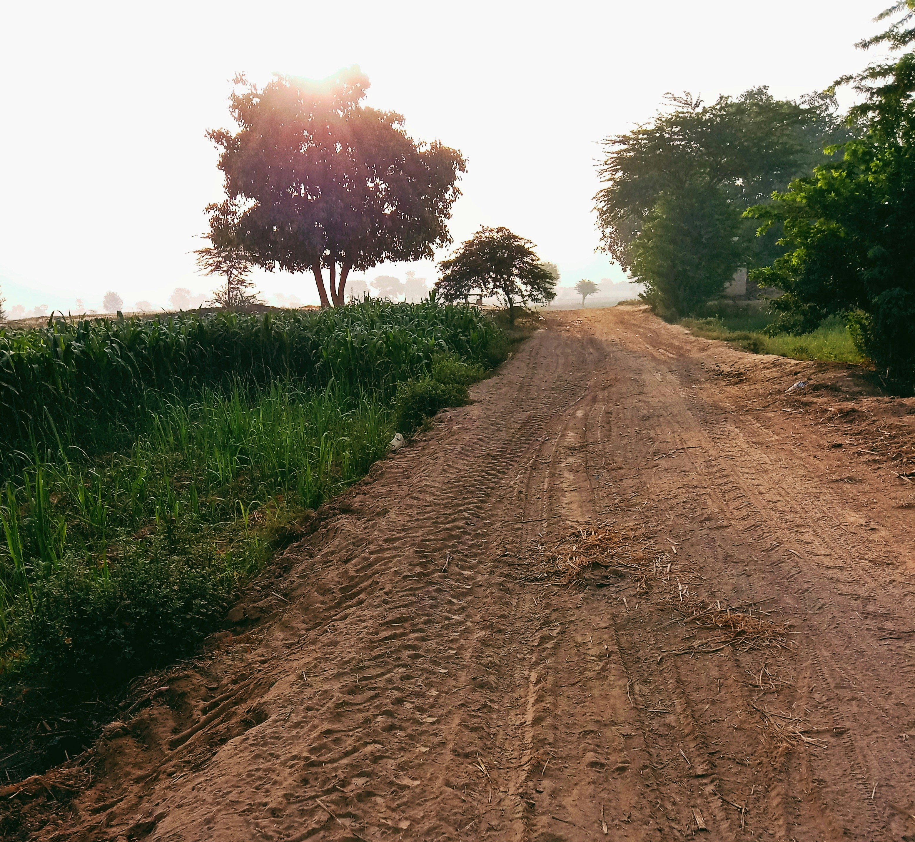 Photo by drphotographer152