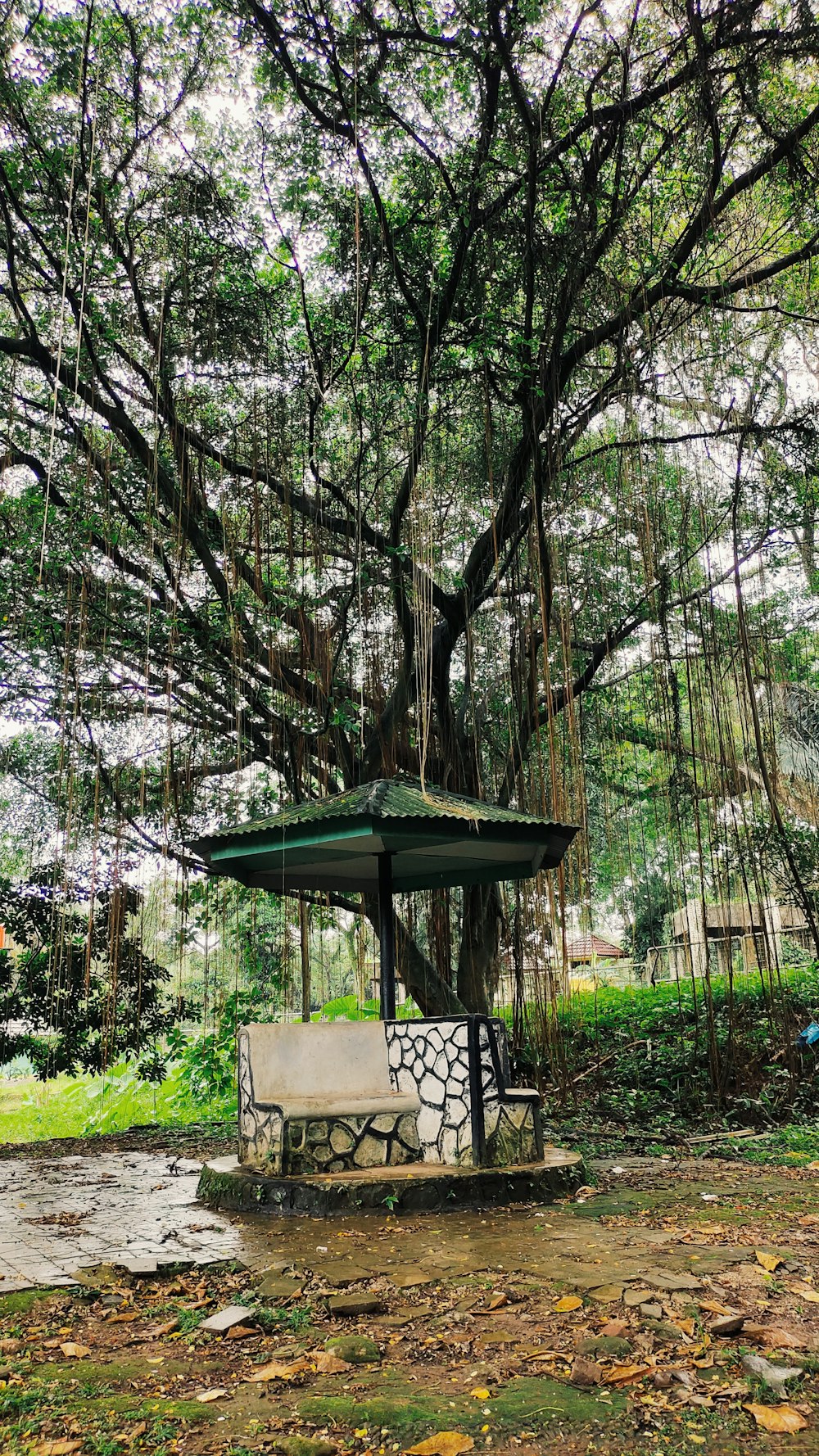 a bench under a tree in a park