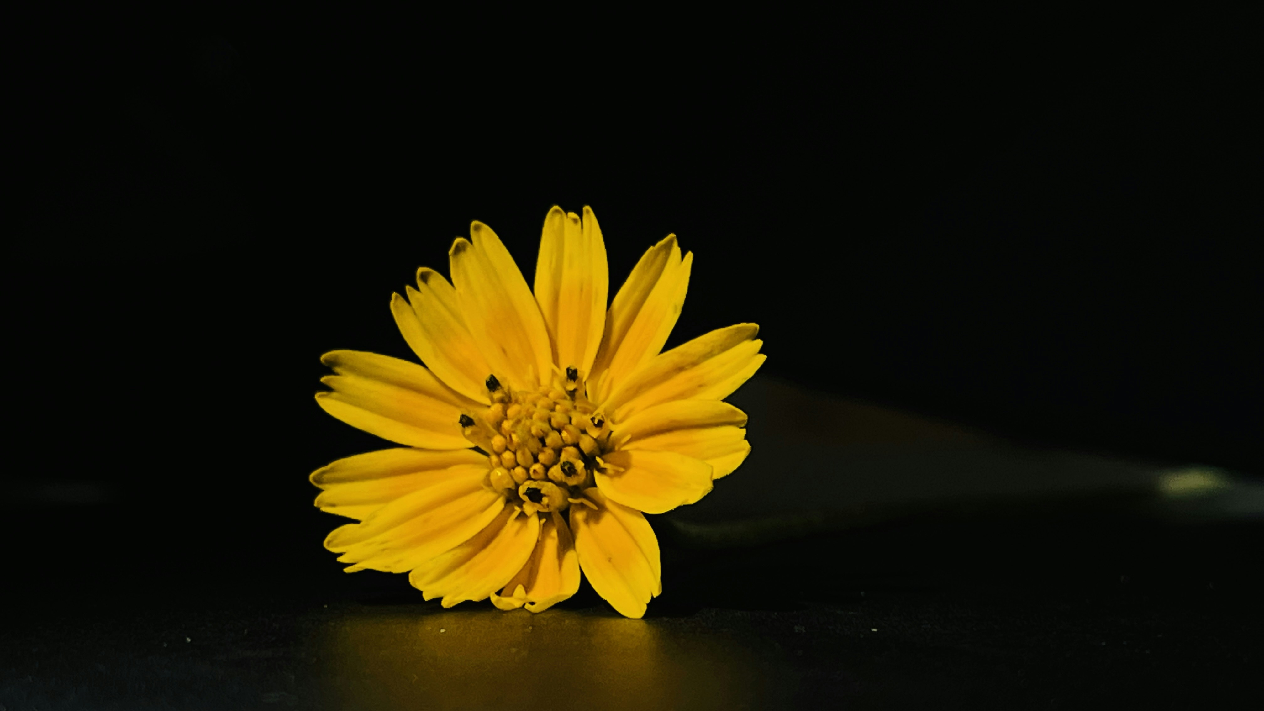 Photo by billin_hayden