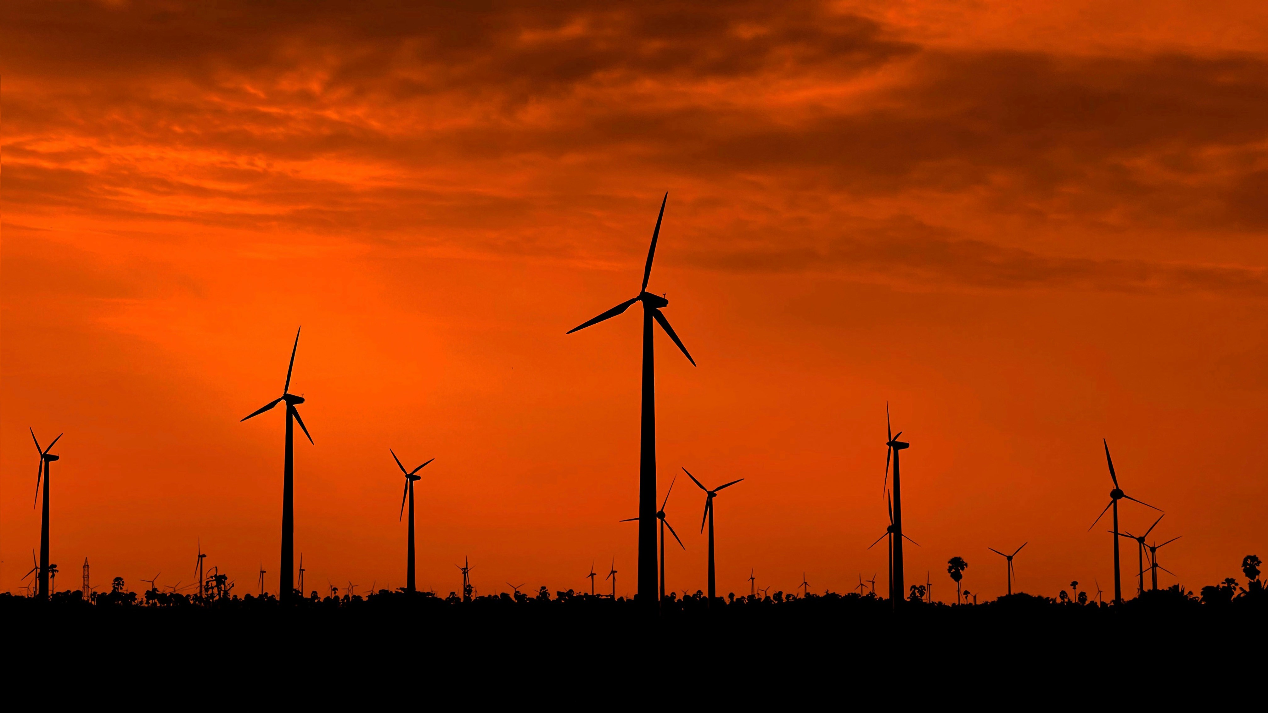 Photo by billin_hayden