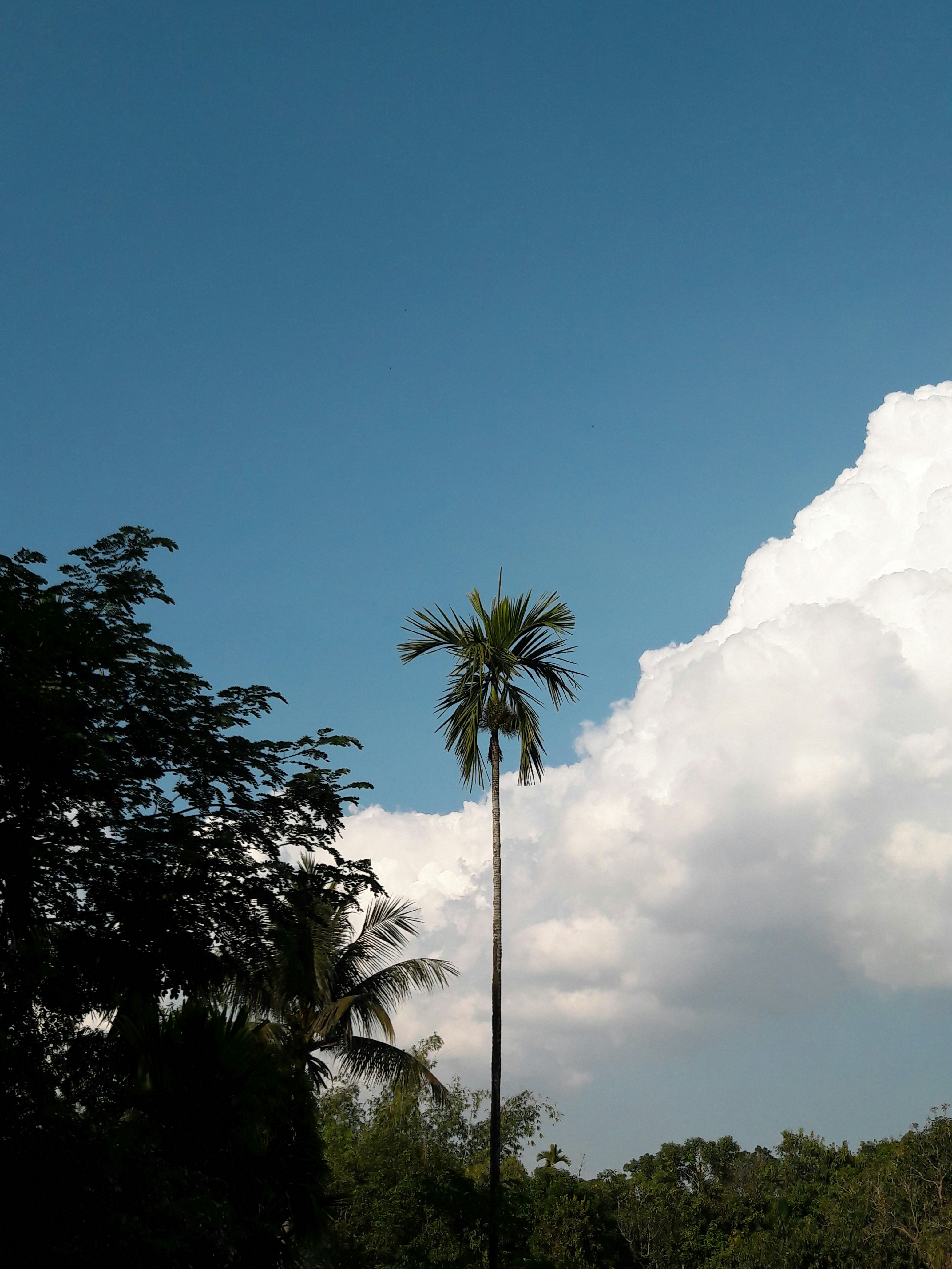 Photo by muhitahamed