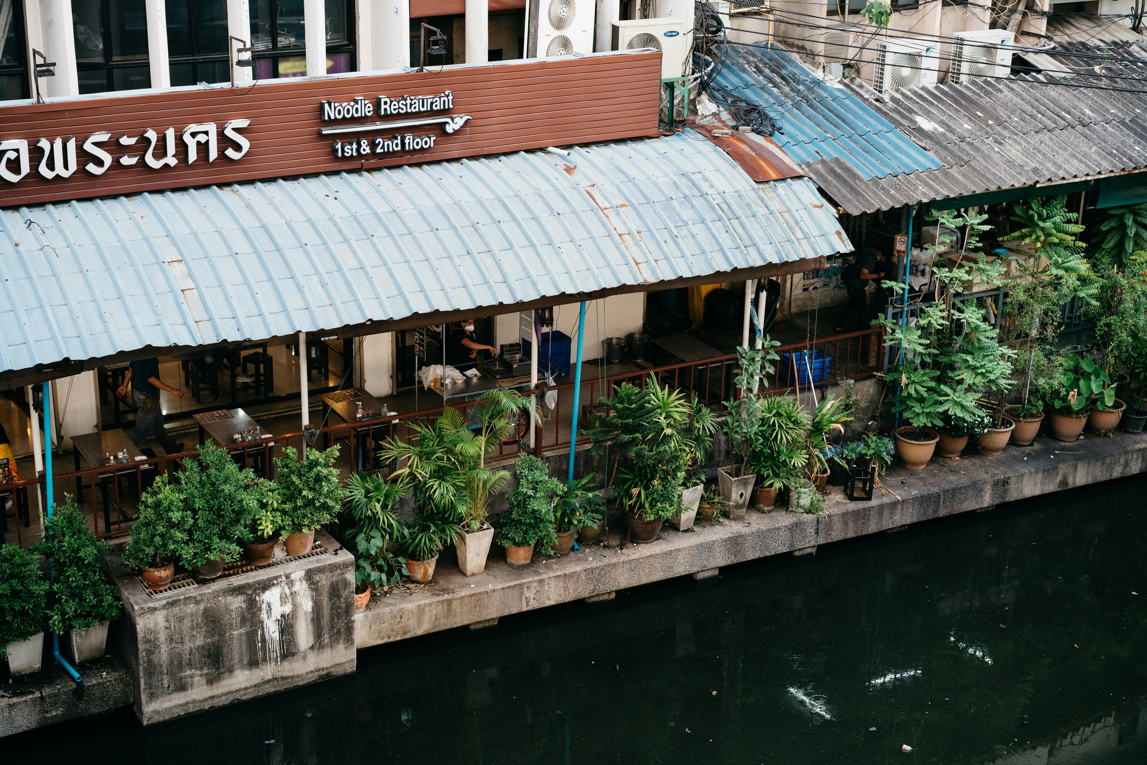a restaurant with potted plants on the outside of it