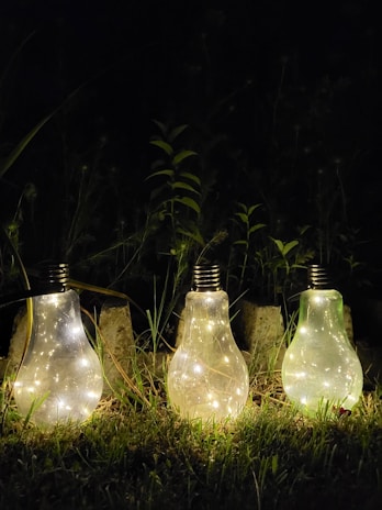 Solar in-ground lights glowing gently along a flower bed edge.