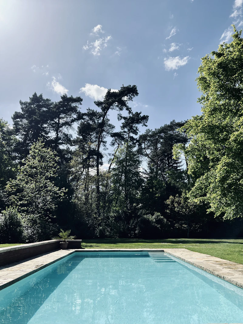 Swimming pool surrounded by trees and lawn