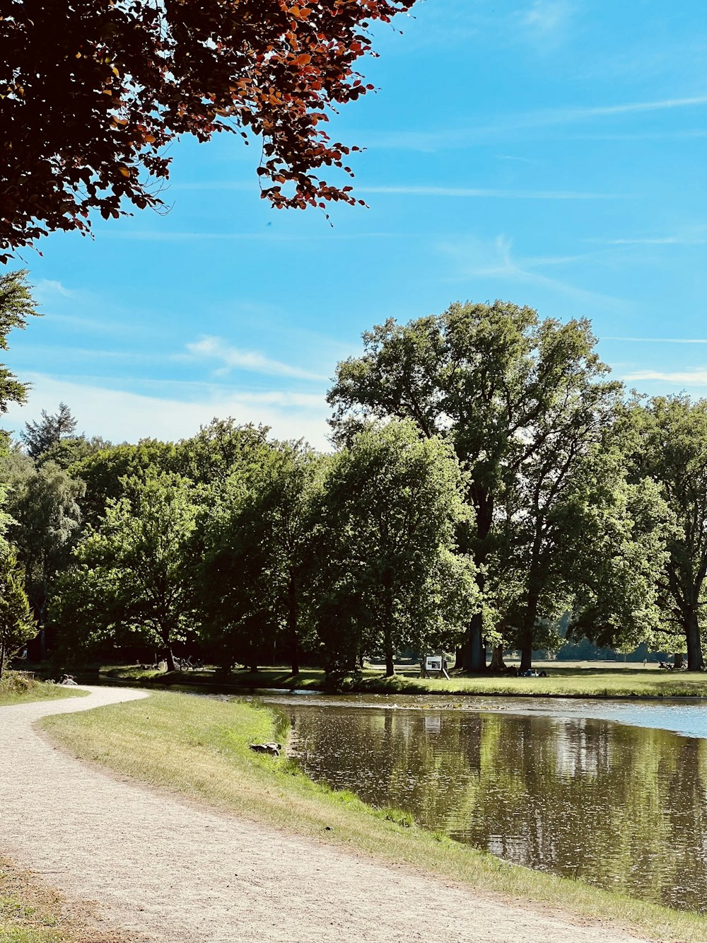 a dirt path next to a body of water