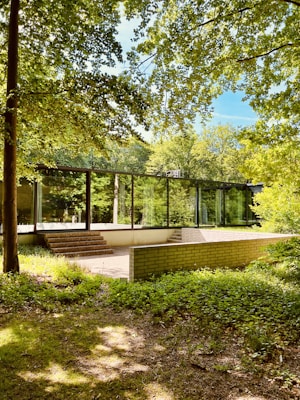 A modern glass-walled building is nestled in a lush, green forested area. It features clean lines and a minimalist design, with large windows reflecting the surrounding trees. The structure is elevated and has a staircase leading up to it. Sunlight filters through the dense canopy of leaves above, casting dappled shadows on the ground.