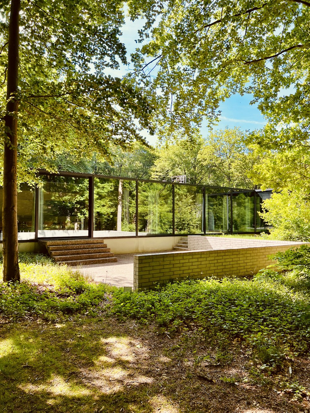 a house in the middle of a forest