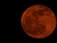 A large, bright full moon with a reddish hue dominates the dark night sky. The surface details of the moon including its craters are clearly visible, giving it a textured appearance.