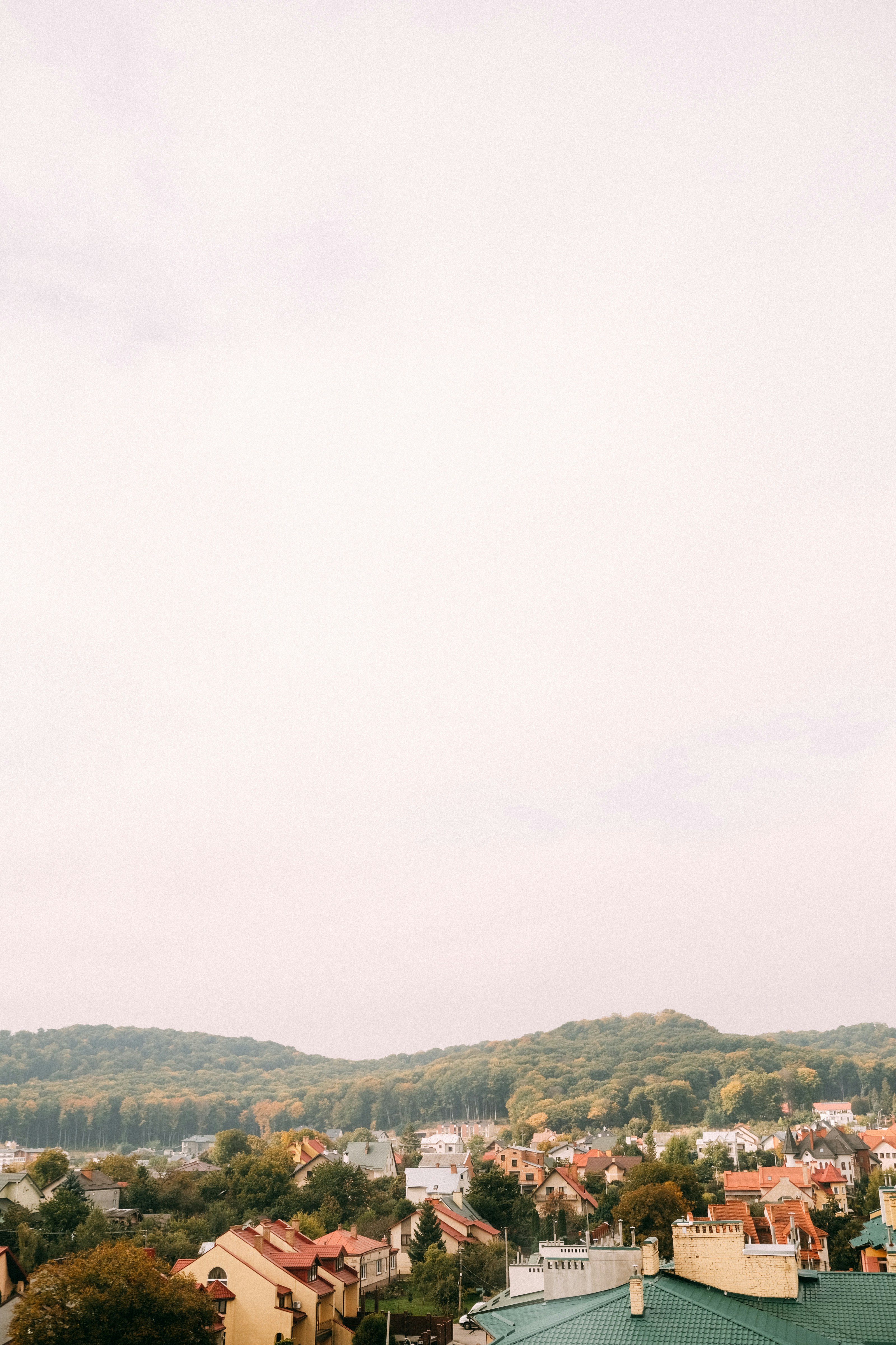 Photo by bocharovalex