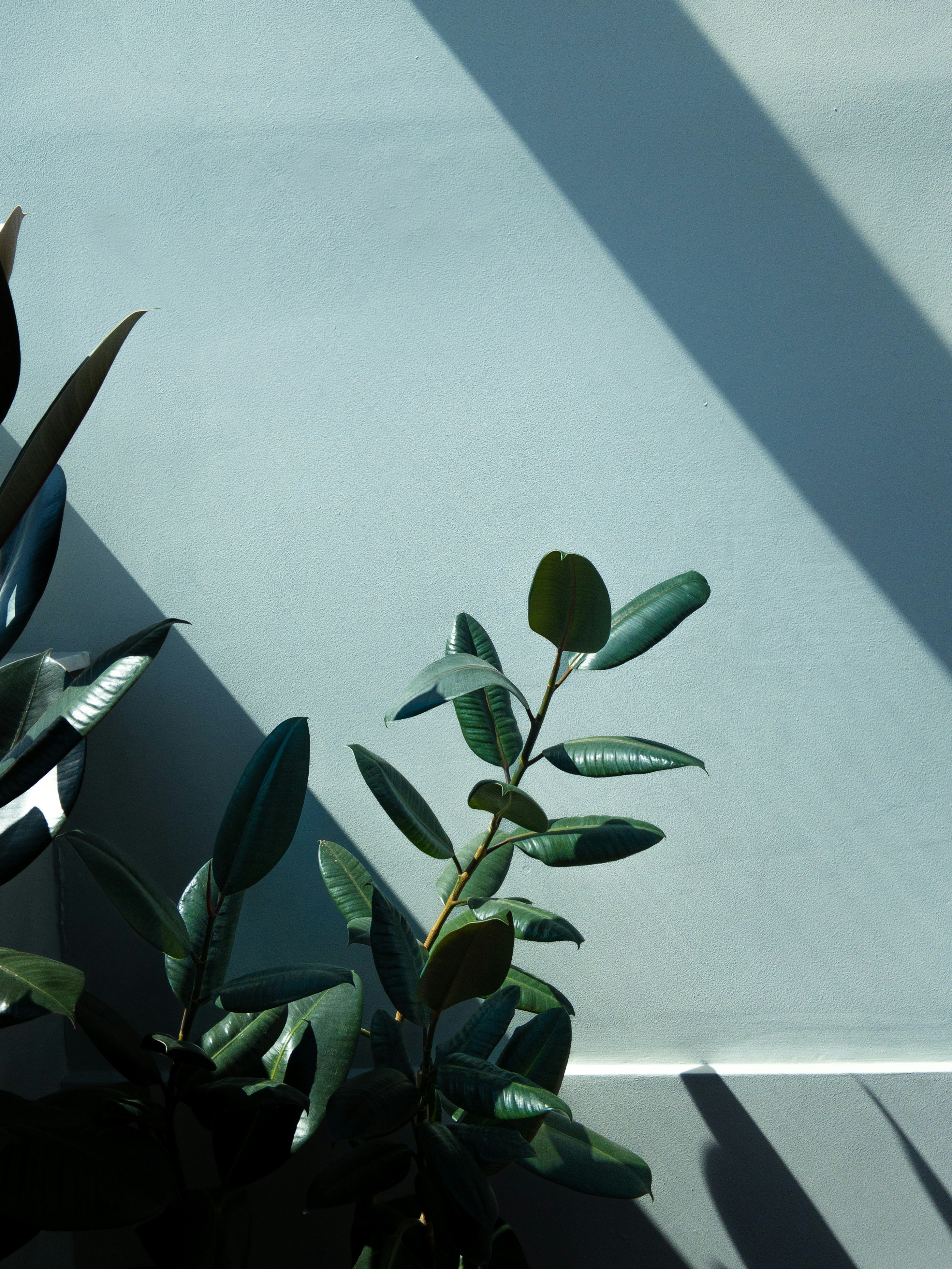 Photo by eugenechystiakov